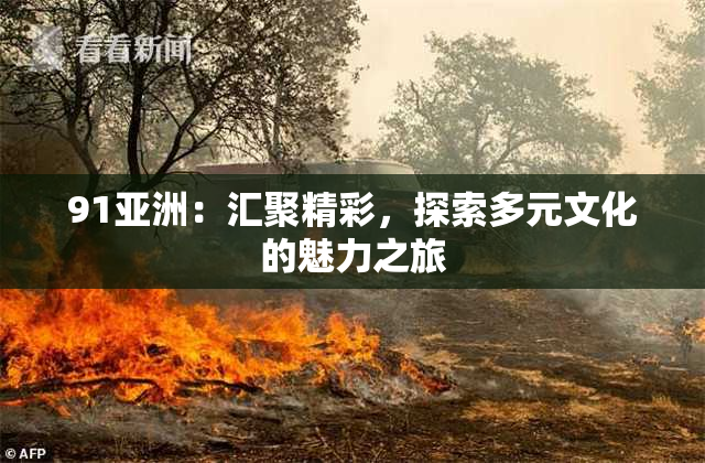 91亚洲：汇聚精彩，探索多元文化的魅力之旅