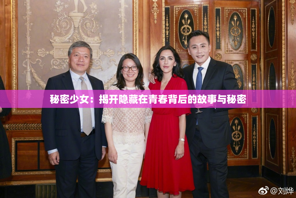 秘密少女：揭开隐藏在青春背后的故事与秘密