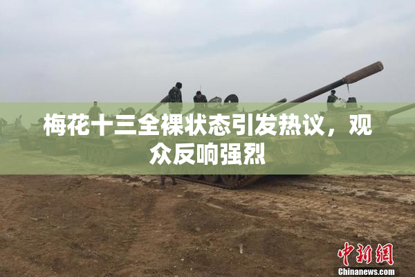 梅花十三全裸状态引发热议，观众反响强烈