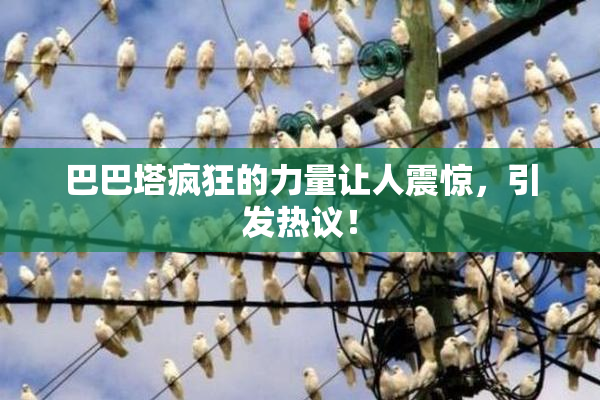 巴巴塔疯狂的力量让人震惊，引发热议！