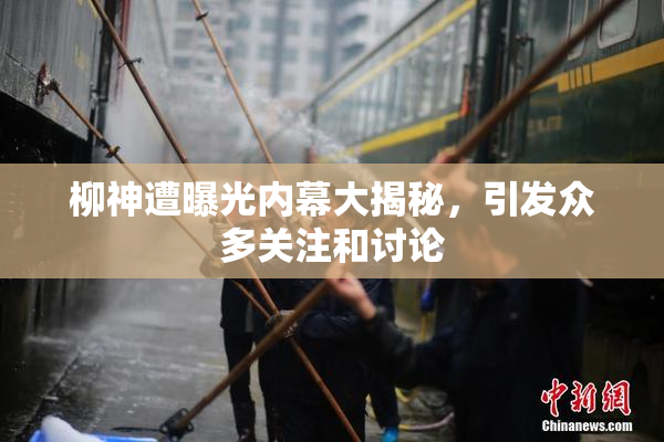 柳神遭曝光内幕大揭秘，引发众多关注和讨论