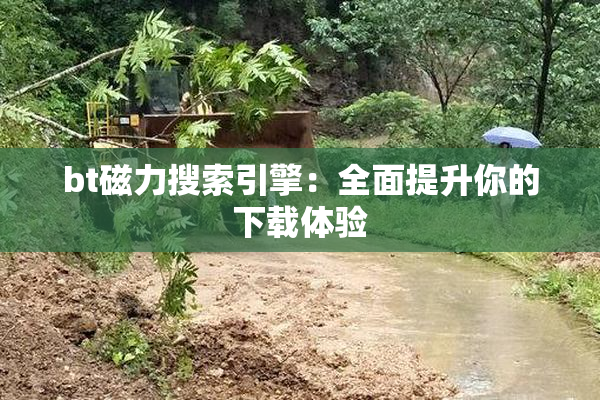 bt磁力搜索引擎：全面提升你的下载体验