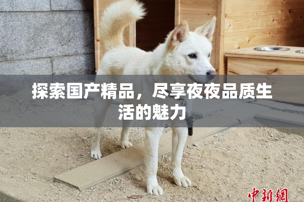 探索国产精品，尽享夜夜品质生活的魅力
