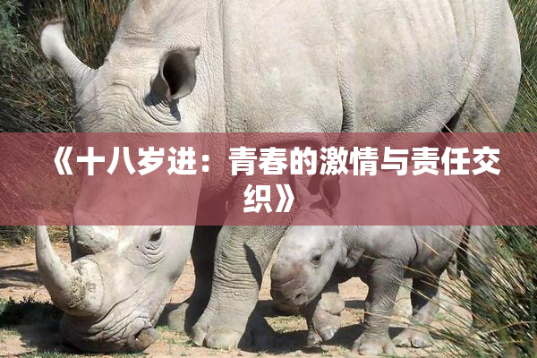 《十八岁进：青春的激情与责任交织》