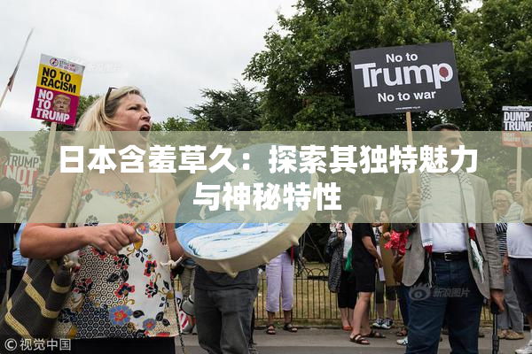 日本含羞草久：探索其独特魅力与神秘特性