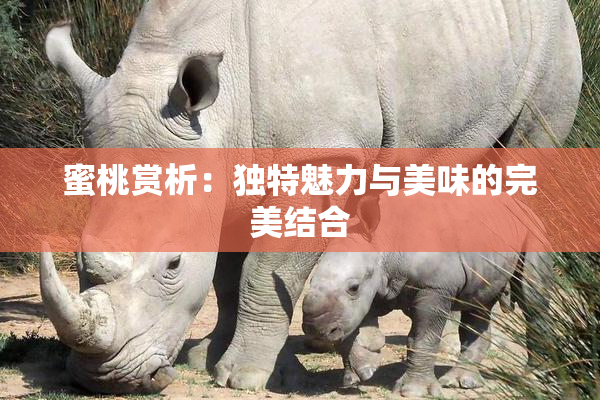 蜜桃赏析：独特魅力与美味的完美结合