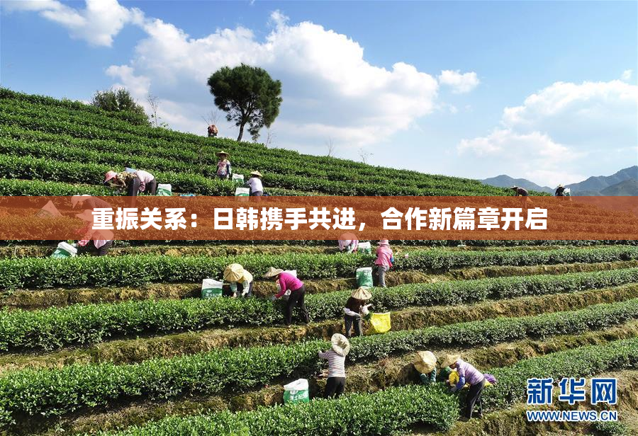 重振关系：日韩携手共进，合作新篇章开启