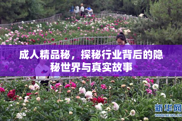 成人精品秘，探秘行业背后的隐秘世界与真实故事