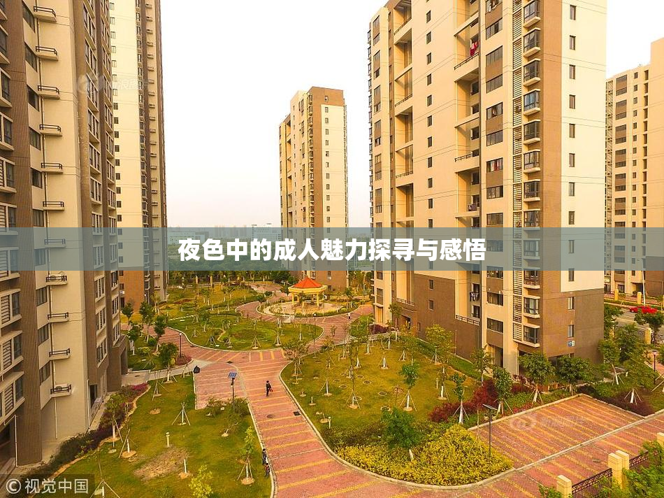 夜色中的成人魅力探寻与感悟