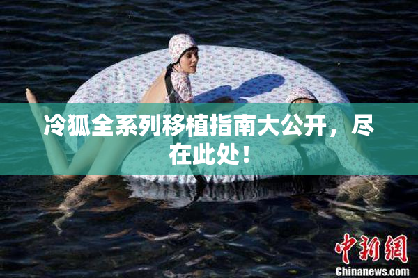 冷狐全系列移植指南大公开，尽在此处！