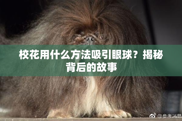 校花用什么方法吸引眼球？揭秘背后的故事