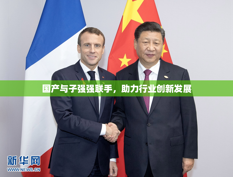国产与子强强联手，助力行业创新发展