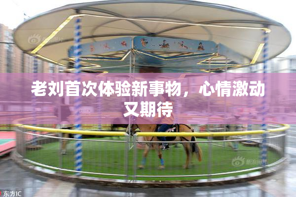 老刘首次体验新事物，心情激动又期待