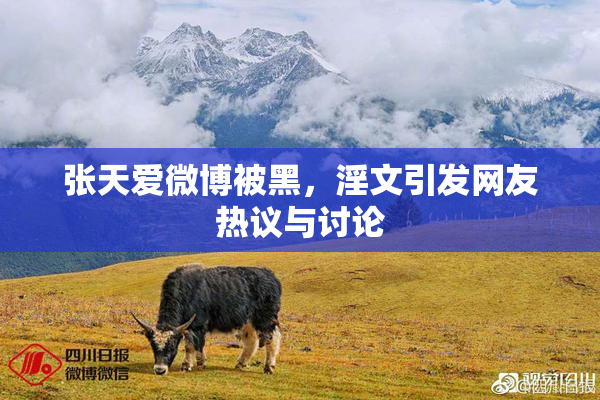 张天爱微博被黑，淫文引发网友热议与讨论