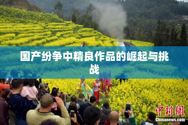 国产纷争中精良作品的崛起与挑战