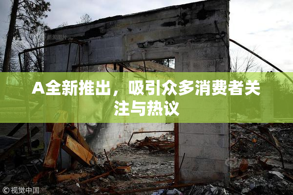 A全新推出，吸引众多消费者关注与热议