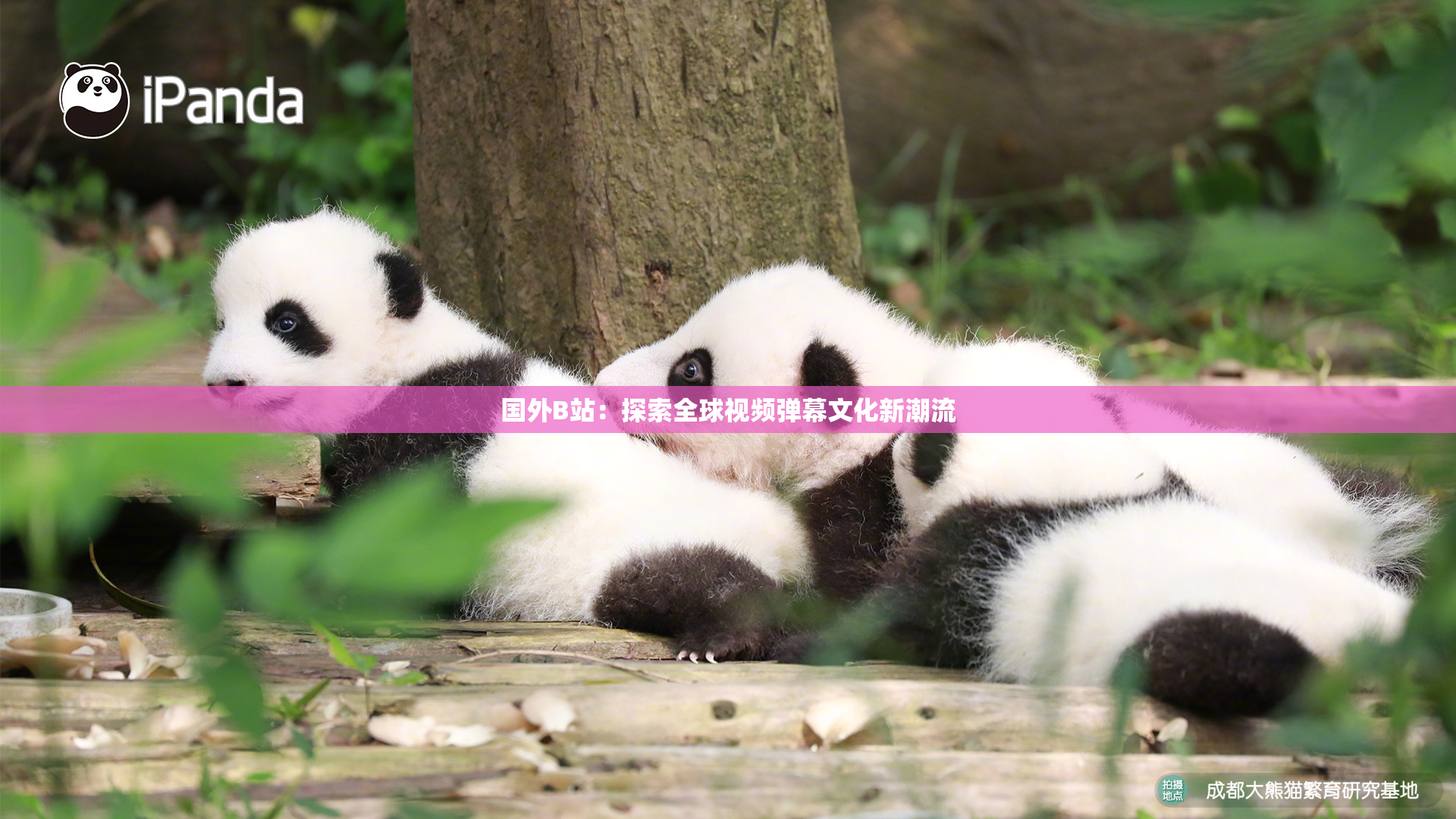 国外B站：探索全球视频弹幕文化新潮流