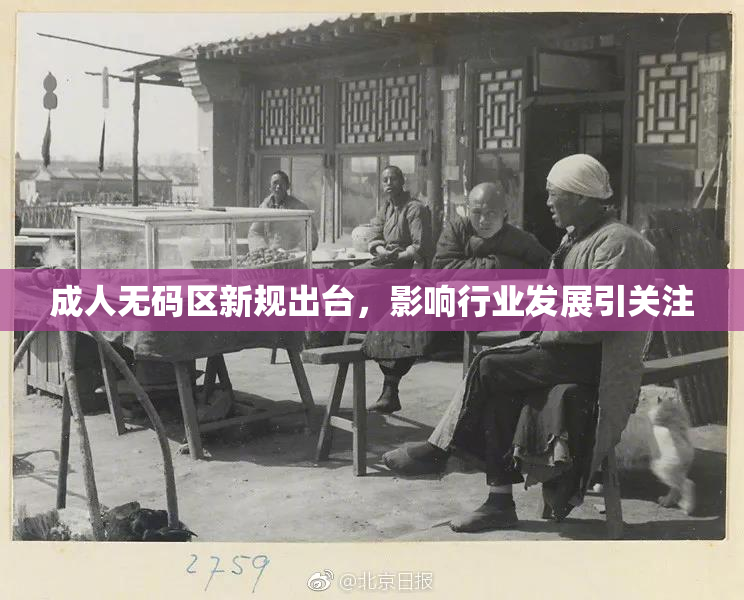 成人无码区新规出台，影响行业发展引关注