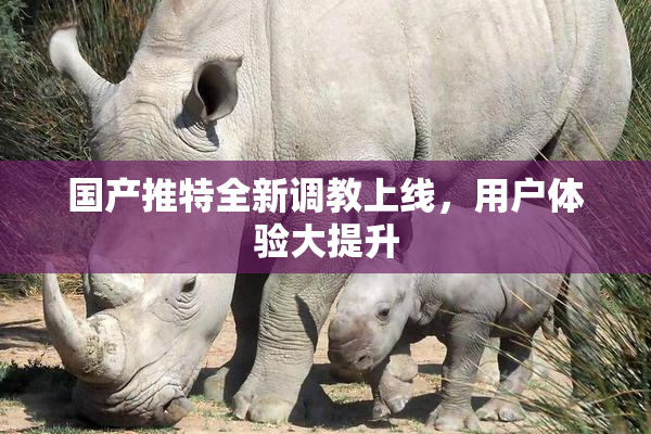 国产推特全新调教上线，用户体验大提升