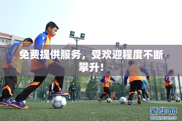 免费提供服务，受欢迎程度不断攀升！