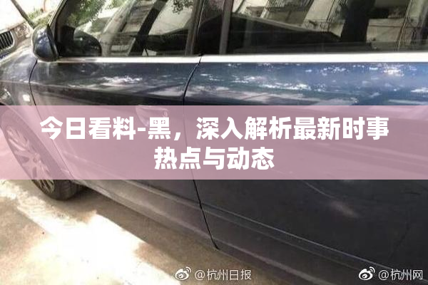 今日看料-黑，深入解析最新时事热点与动态