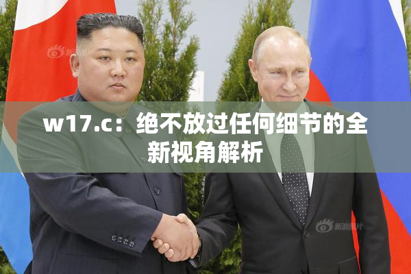 w17.c：绝不放过任何细节的全新视角解析