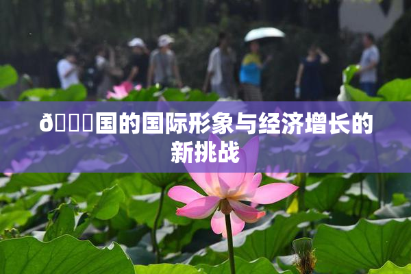 🔞国的国际形象与经济增长的新挑战