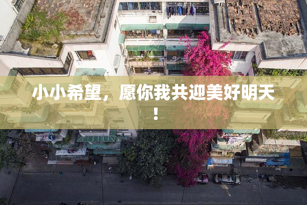 小小希望，愿你我共迎美好明天！