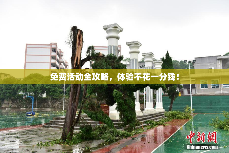 免费活动全攻略，体验不花一分钱！