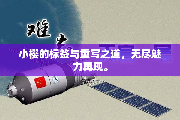 小樱的标签与重写之道，无尽魅力再现。