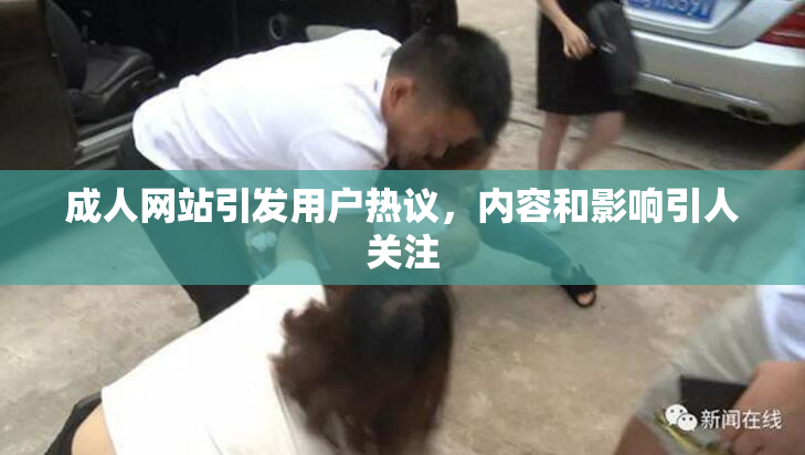 成人网站引发用户热议，内容和影响引人关注