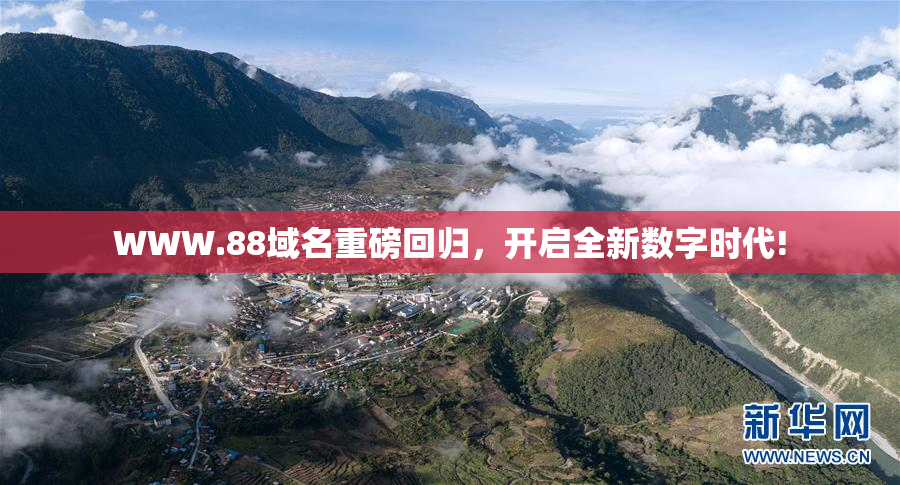 WWW.88域名重磅回归，开启全新数字时代!