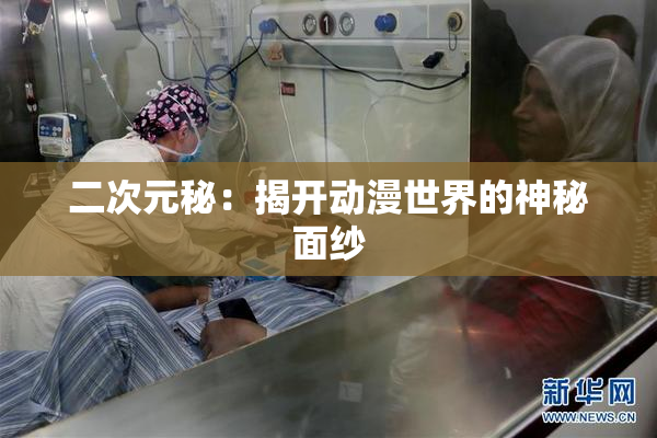 二次元秘：揭开动漫世界的神秘面纱