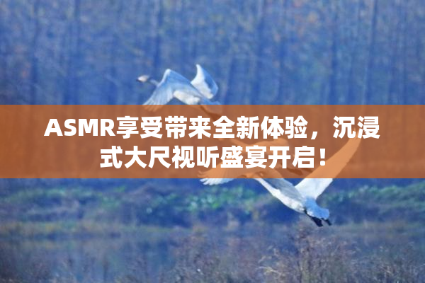 ASMR享受带来全新体验，沉浸式大尺视听盛宴开启！