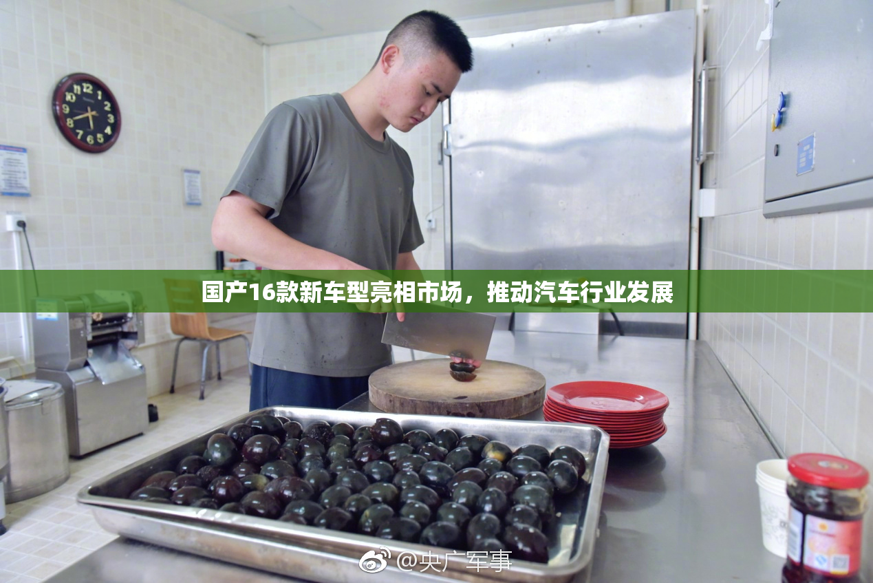 国产16款新车型亮相市场，推动汽车行业发展