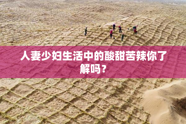 人妻少妇生活中的酸甜苦辣你了解吗？