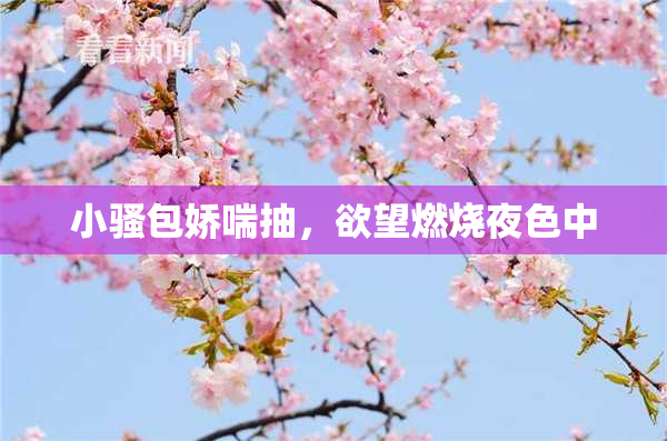 小骚包娇喘抽，欲望燃烧夜色中