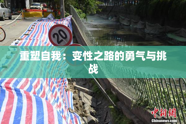 重塑自我：变性之路的勇气与挑战