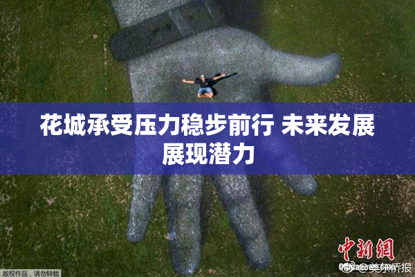 花城承受压力稳步前行 未来发展展现潜力