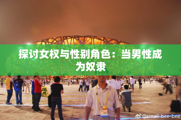 探讨女权与性别角色：当男性成为奴隶