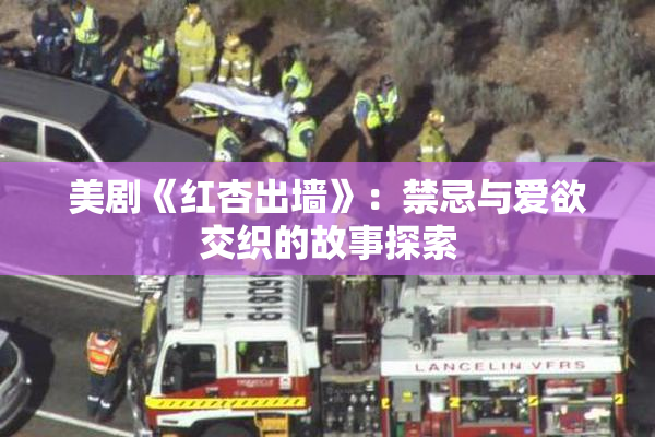 美剧《红杏出墙》：禁忌与爱欲交织的故事探索