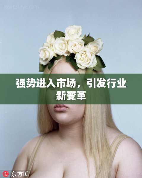 强势进入市场，引发行业新变革