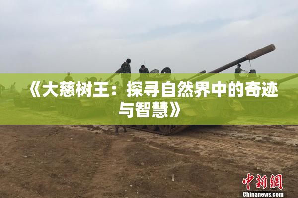 《大慈树王：探寻自然界中的奇迹与智慧》