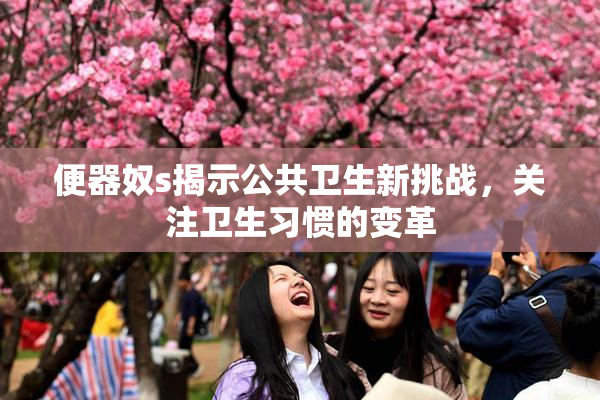 便器奴s揭示公共卫生新挑战，关注卫生习惯的变革