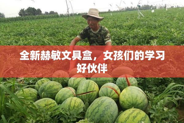 全新赫敏文具盒，女孩们的学习好伙伴