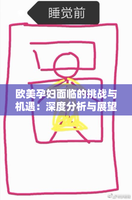 欧美孕妇面临的挑战与机遇：深度分析与展望