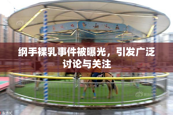 纲手裸乳事件被曝光，引发广泛讨论与关注