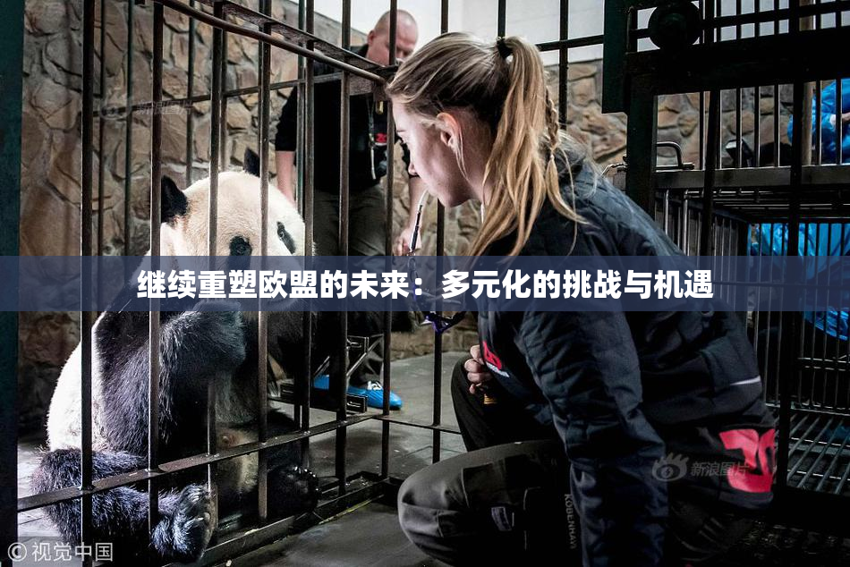 继续重塑欧盟的未来：多元化的挑战与机遇