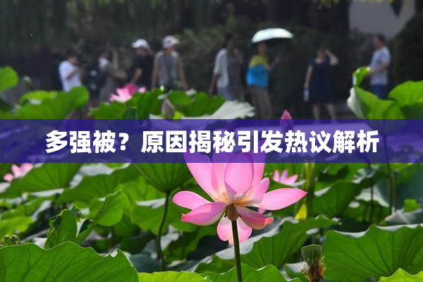 多强被？原因揭秘引发热议解析