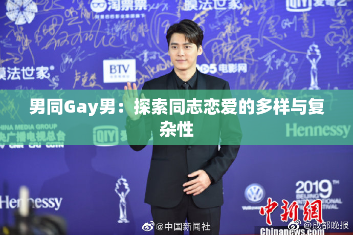 男同Gay男：探索同志恋爱的多样与复杂性